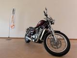 Suzuki VS 750 Intruder VR 51 B - SUZUKI INTRUDER