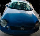 Volkswagen VW Lupo 1.2L 60PS Manuell 5 Gang - Volkswagen Lupo: 1.6
