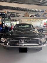 Ford Mustang Fastback 1967 V8 302 H-Zulassung - Ford Mustang aus 1967: Fastback