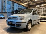 Fiat Panda 1.2 Dynamic - Fiat Panda Cabrio Gebrauchtwagen