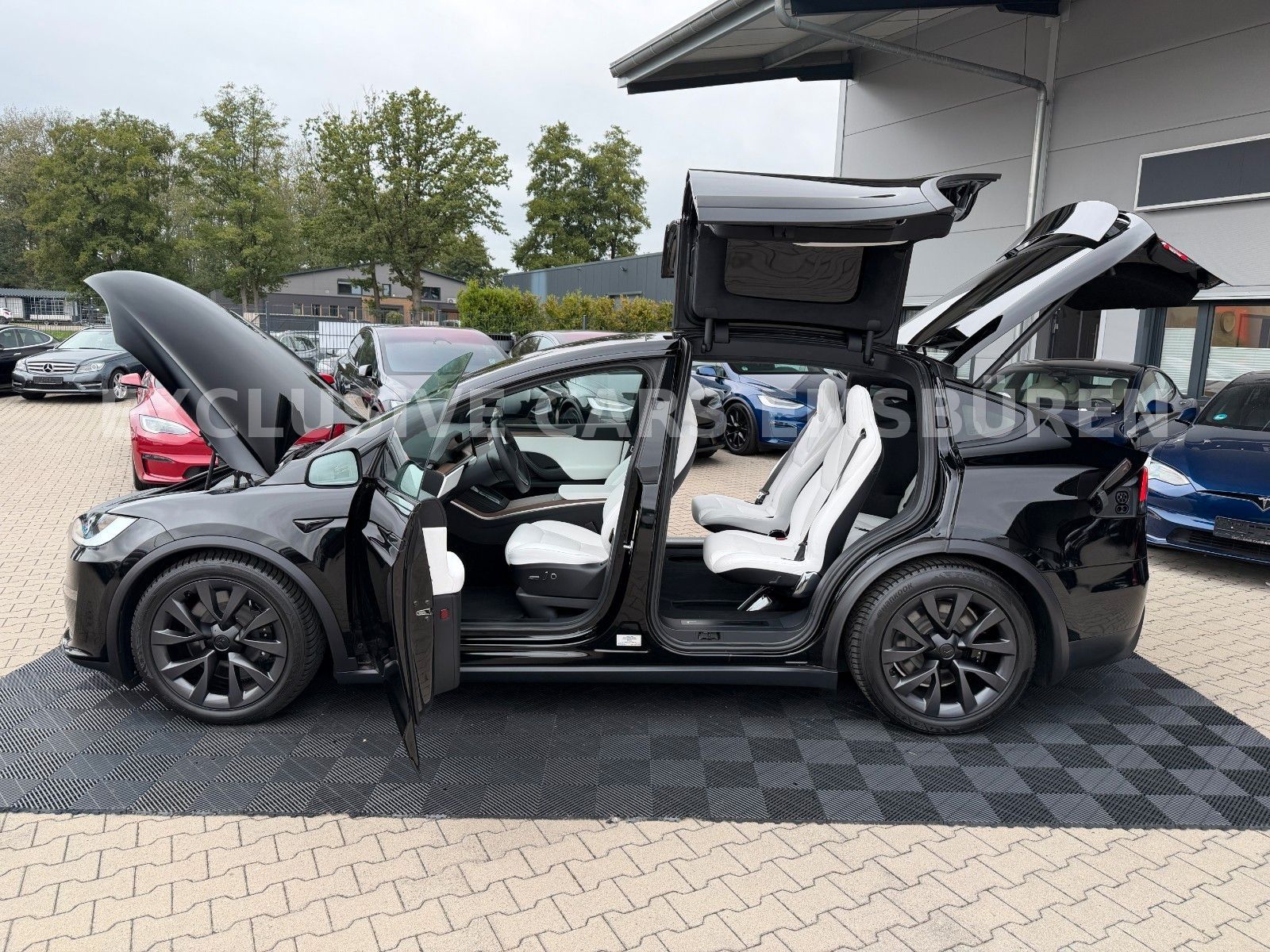 Tesla MODEL X PALLADIUM | WHITE SEAT | MATRIX | AP 4 | imagem 3