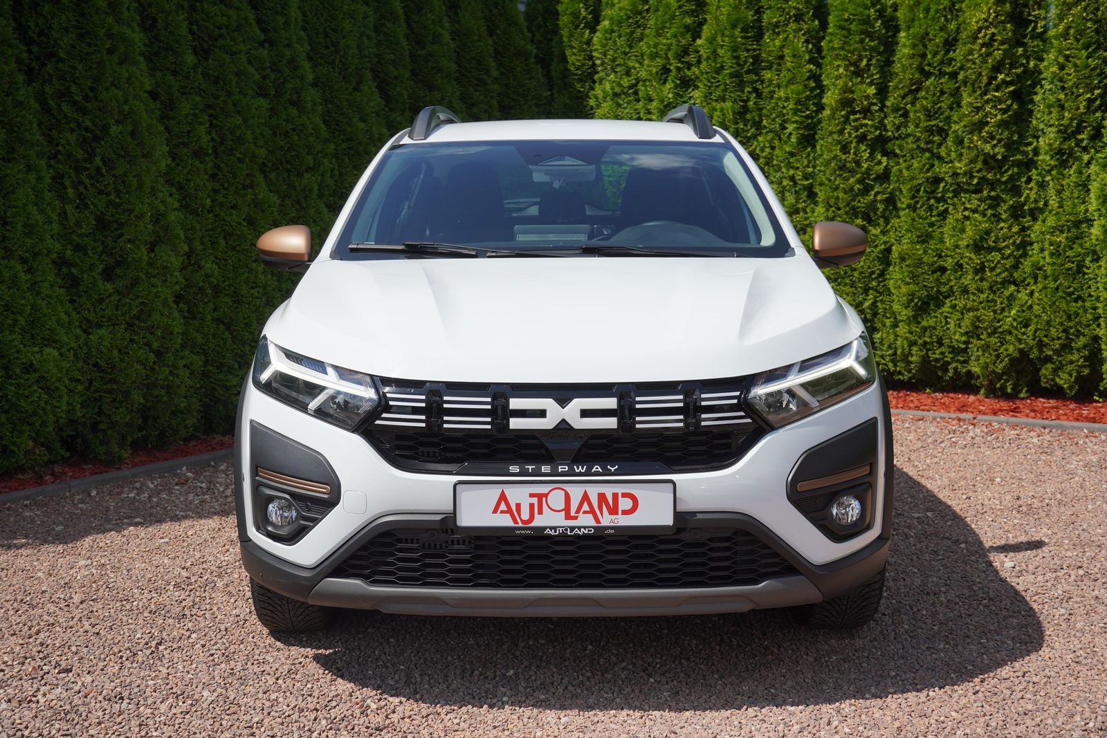Dacia Sandero Stepway 1.0 TCE Extreme+ LED Navi Kamera imagem 3