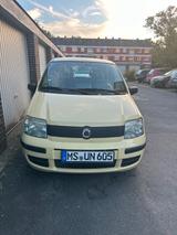 Fiat Panda - Fiat Panda Gebrauchtwagen in Münster