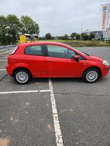 Fiat Punto 1.2 8V Dynamic - Fiat Punto: Dynamic