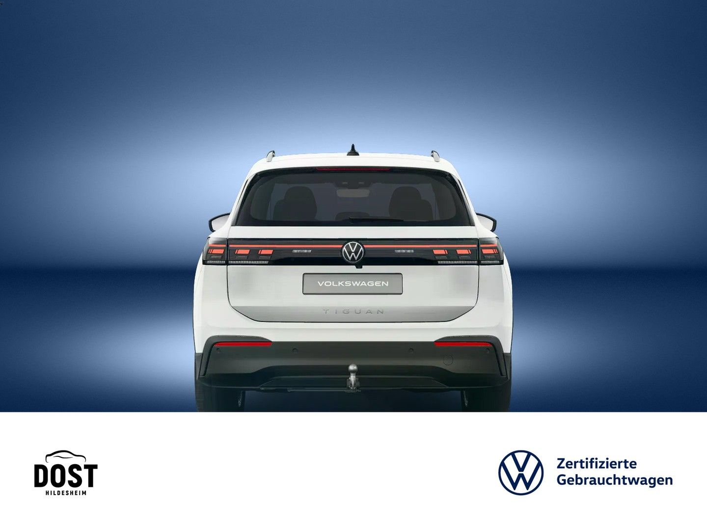 Volkswagen Tiguan Life Goal 2.0 TDI DSG MATRIX-LED AreaView foto 5