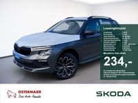 Skoda Kamiq - Vorschau Bild 1