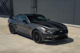 Ford Mustang 5.0 Ti-VCT V8 GT Schalter Alcantara R19 - Ford Mustang mit Benzin-Antrieb: Schaltgetriebe