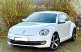 Volkswagen VW Volkswagen New Beetle Käfer 1.2 TSI Spo... - Volkswagen New Beetle mit Benzin-Antrieb: Limousine