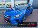 Kia XCeed 1.6 T-GDI DCT Platinum LED Pano AHK - Kia XCeed mit Anhängerkupplung