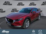 Mazda CX-30 Klimaaut.|Kamera|LED|Sitzheizung|Navi - Mazda CX-30 in Bielefeld