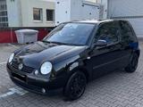 Volkswagen Lupo 1.4 16V Automatik  *Org.68000km* - Volkswagen Lupo: Automat