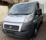 Fiat Ducato Kastenwagen TÜV NEU - Fiat Ducato: Kastenwagen