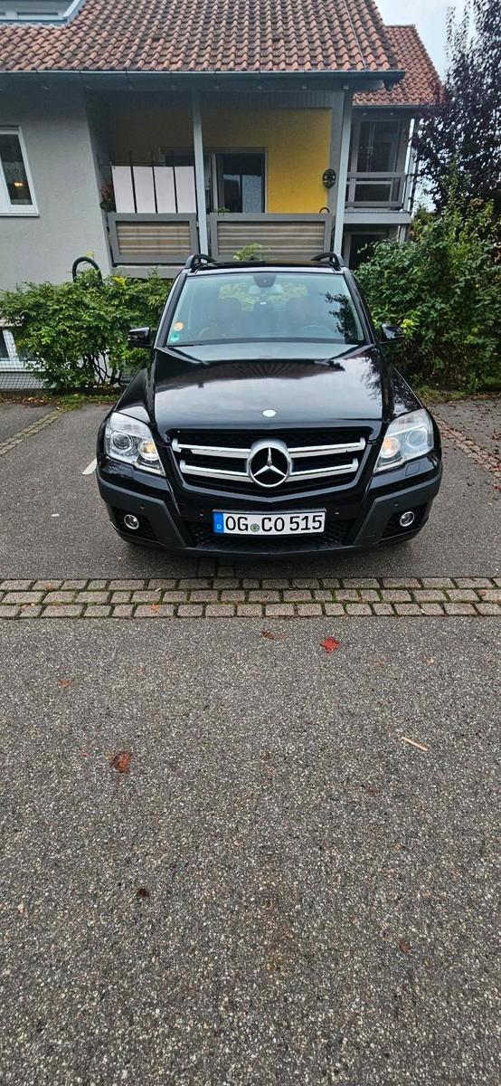 Mercedes-Benz GLK220 2009 — rear view