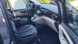 Mercedes-Benz Marco Polo 300d 4 Matic Vollausstattung - Offers