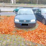 Volkswagen Bora 1.6 FSI Basis Basis - Volkswagen Bora Basis mit Benzin-Antrieb