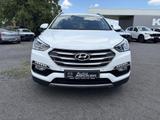 Hyundai Santa Fe blue Style 4WD - Hyundai: Santa