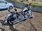 Harley-Davidson FLSTN Softail Deluxe - HARLEY-DAVIDSON 2008