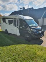 Carado V337 Edition 15 - Carado V337