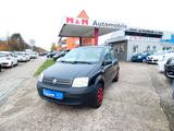 Fiat Panda 1.2 8V Dynamic - Fiat Panda in Lübeck