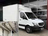 Mercedes-Benz Sprinter 513 CDI ThermoKing V-200 Rohrbahnen 516 - Mercedes-Benz Rohrbahn