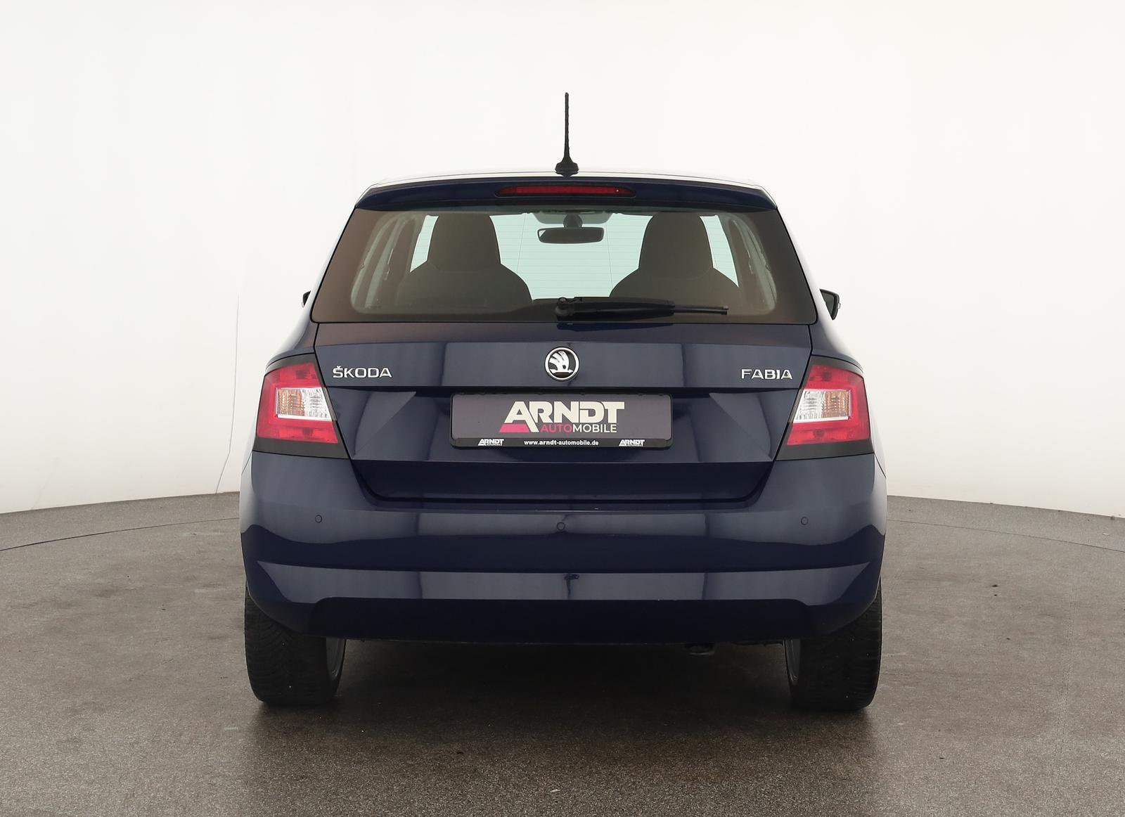 Skoda Fabia 1.0 TSI DSG Style Klima DAB SHZ ACC PDC 17