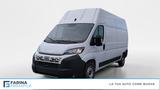 Fiat FIAT Ducato Serie 2 Stock My24 MaxiFurgone Lastr - Fiat Ducato Jahreswagen
