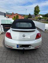 Volkswagen Beetle Cabrio Allstar BMT 1.4 TSI mit AHK - Volkswagen New Beetle: Cabrio
