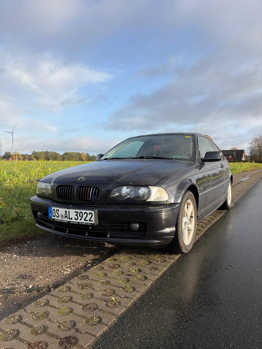 BMW 318