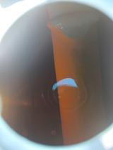 Mz TS 250 /1 - MZ TS 250