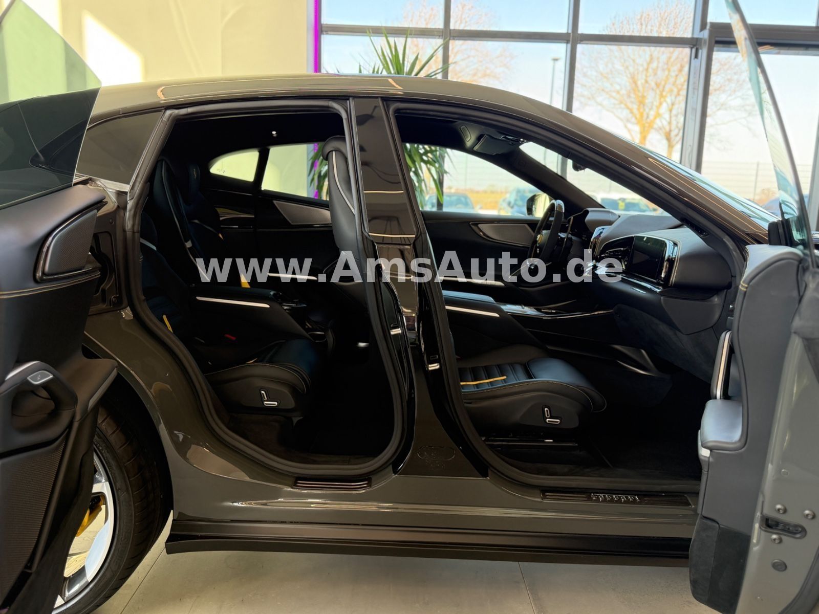 Purosangue Full Carbon Pano Massage