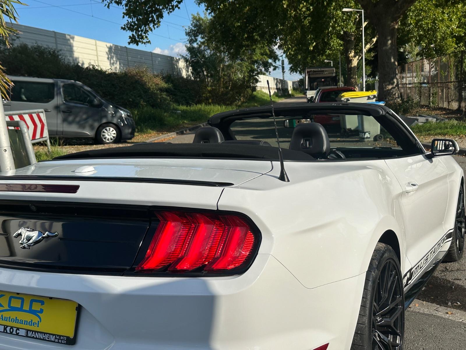 Ford Mustang GT 5.0 Optik Cabrio, миниатюра 8