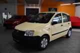 Fiat Panda 1.1 8V Active - Fiat Panda: Gelb
