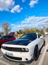 Andere Dodge Challenger 3,6l +Sternhimmel - Andere: Sportwagen