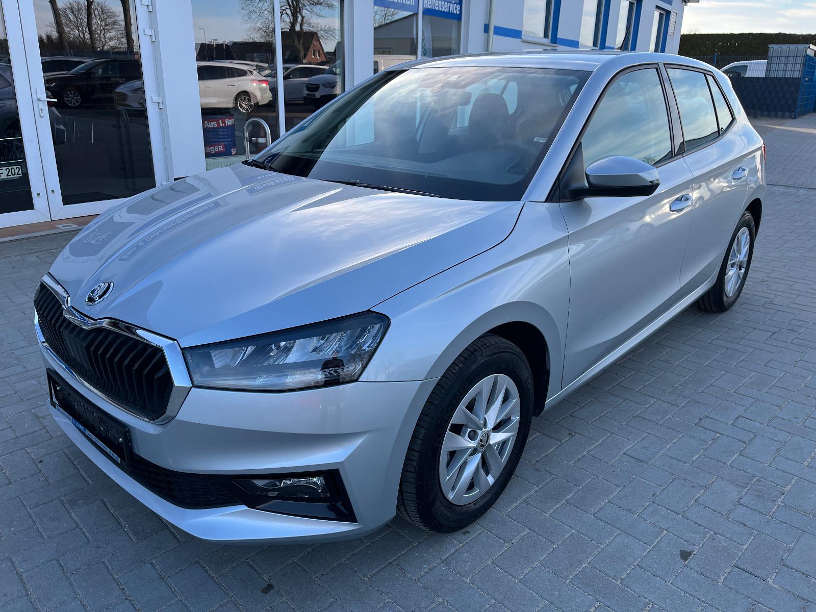 Skoda Fabia 1,0*Selection*Klima/1.Hand/LED/Alu/PDC/SH