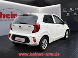 Kia Picanto 1.0 ISG Dream Team SHZ+LM - Kia Picanto Gebrauchtwagen in Dortmund