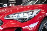 Kia Stinger GT 3.3 V6 4WD|HEAD-UP|PANO|H&K|BREMBO - gebrauchte Kia Stinger aus dem Jahr 2019