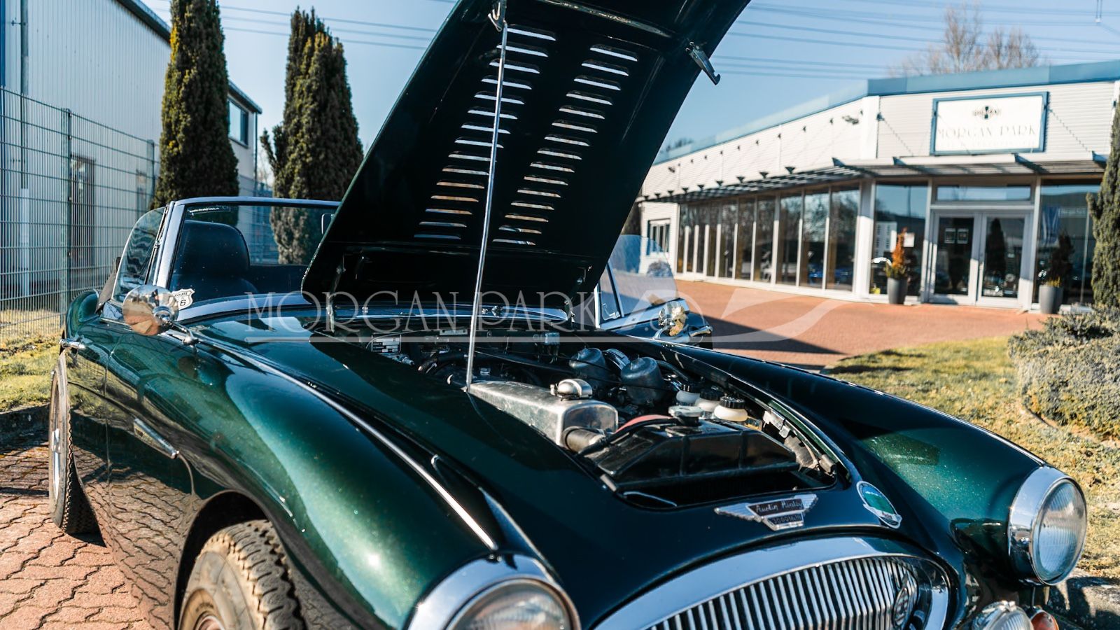 Fahrzeugabbildung Austin Healey BJ8  3000 MK III 1964   Lesen Sie den Text !
