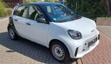 Smart ForFour 4 Türer Elektrisch EQ / Taus... - Smart ForFour in Braunschweig