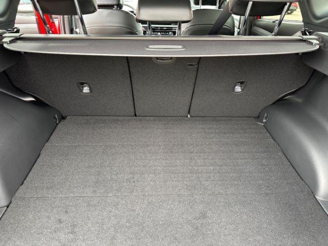 Fahrzeugabbildung Hyundai Tucson N Line MY25 Hybrid 2WD 1.6 T-GDI Navi Dig