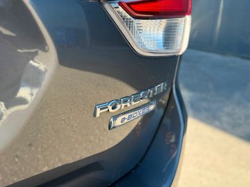 Subaru Forester - 11