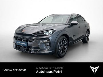 Cupra Terramar - 1