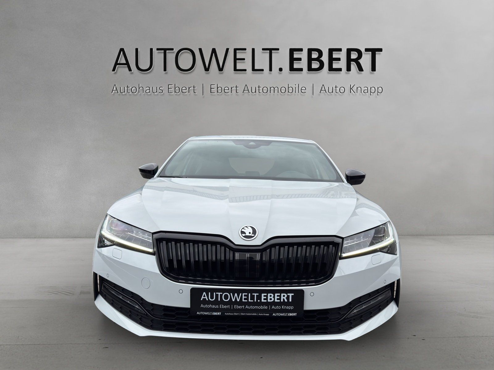 Fahrzeugabbildung SKODA Superb 2.0 TDI Sportline 4x4/AHK/KAMERA/ACC/STHZ