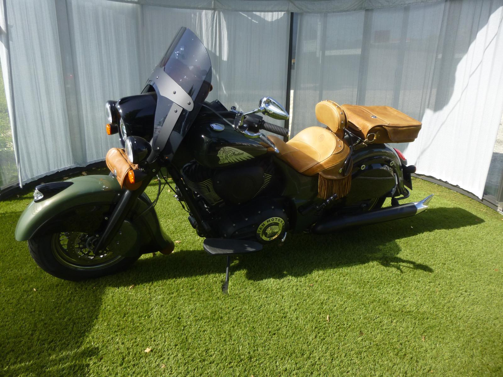 Indian Chief Dark Horse