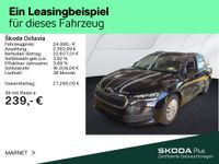 Skoda Octavia - Vorschau Bild 2