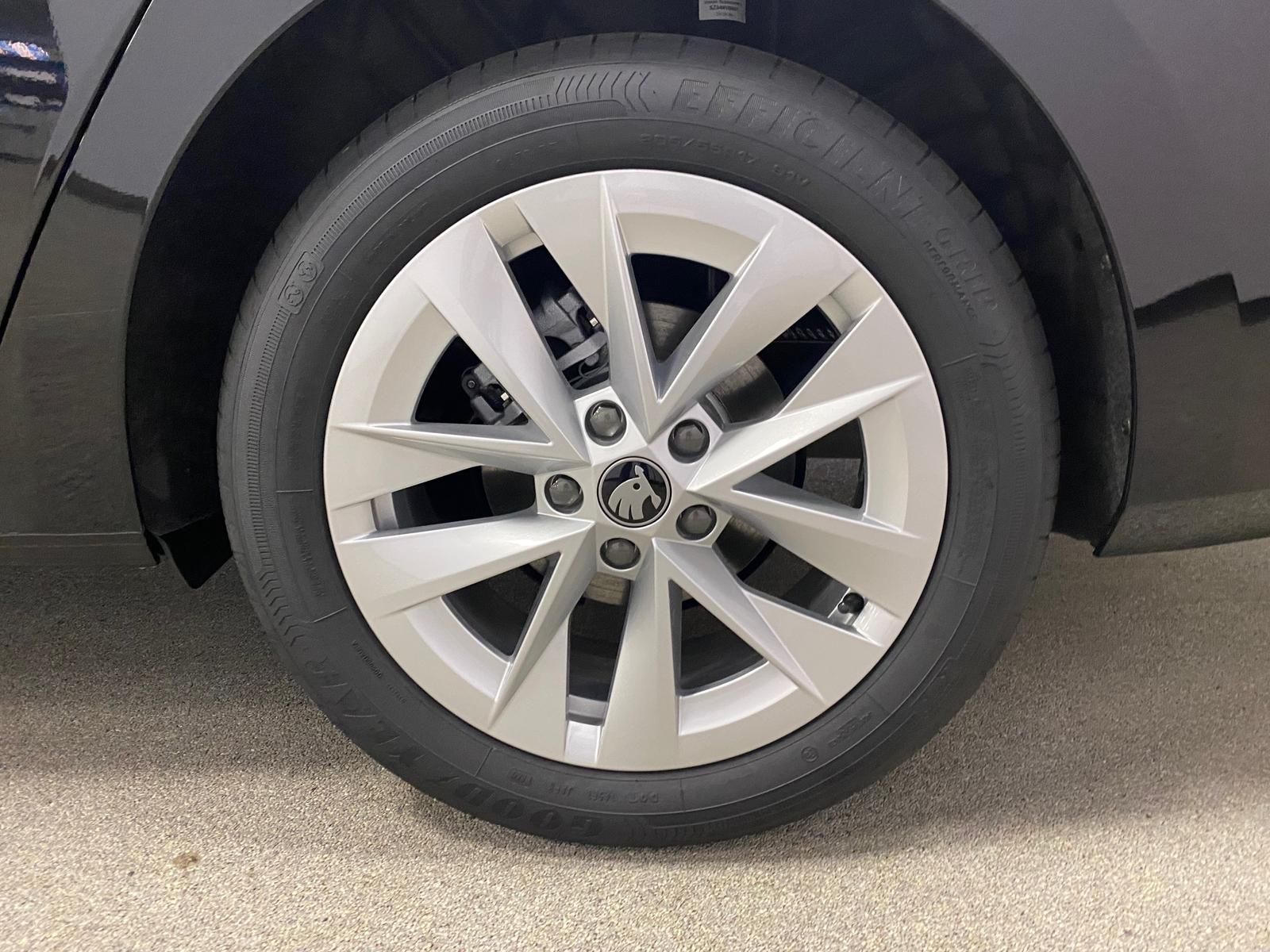 Fahrzeugabbildung SKODA Octavia 1.5 TSI mHEV Selection+ACC+RFK+5J. GARAN