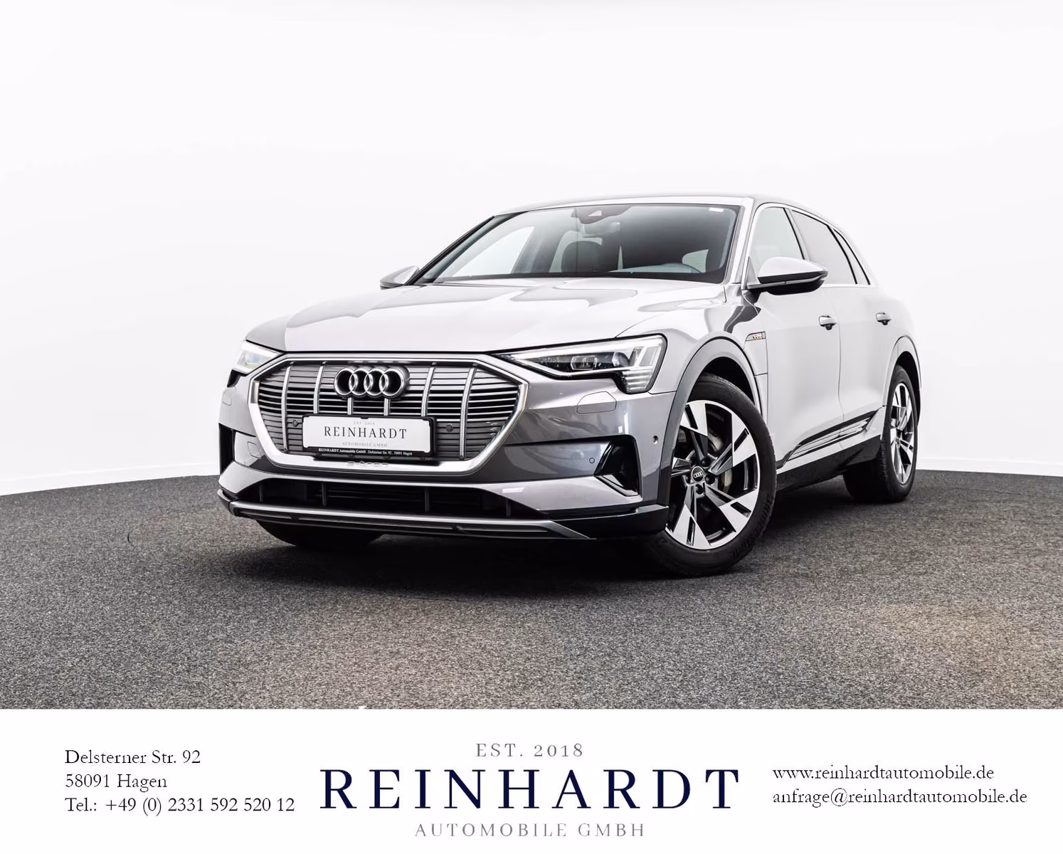Audi e-tron E-TRON 50 Q S LINE LED/ACC/KAMERA/AIR-SUS/MEMORY