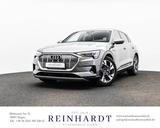 Audi E-TRON 50 Q S LINE LED/ACC/KAMERA/AIR-SUS/MEMORY