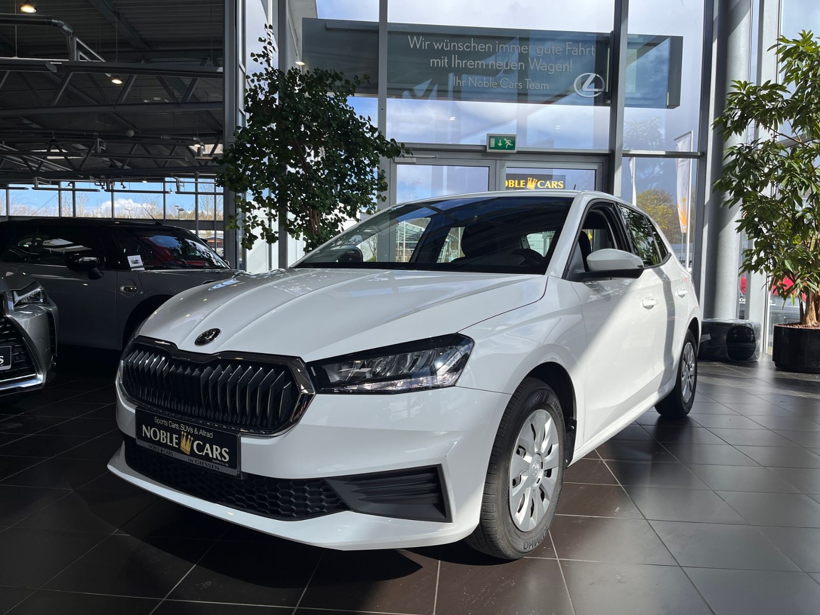 Fahrzeugabbildung SKODA Fabia Ambition KLIMA CARPLAY LED PDC SHZ