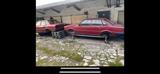 Audi 80 Karo ohne Rost   Zum Wiederaufbau ... - Audi 80: R80