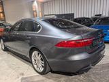 Jaguar XF Portfolio Memorysitze/Head-Up/Schiebedach - graue Jaguar XF